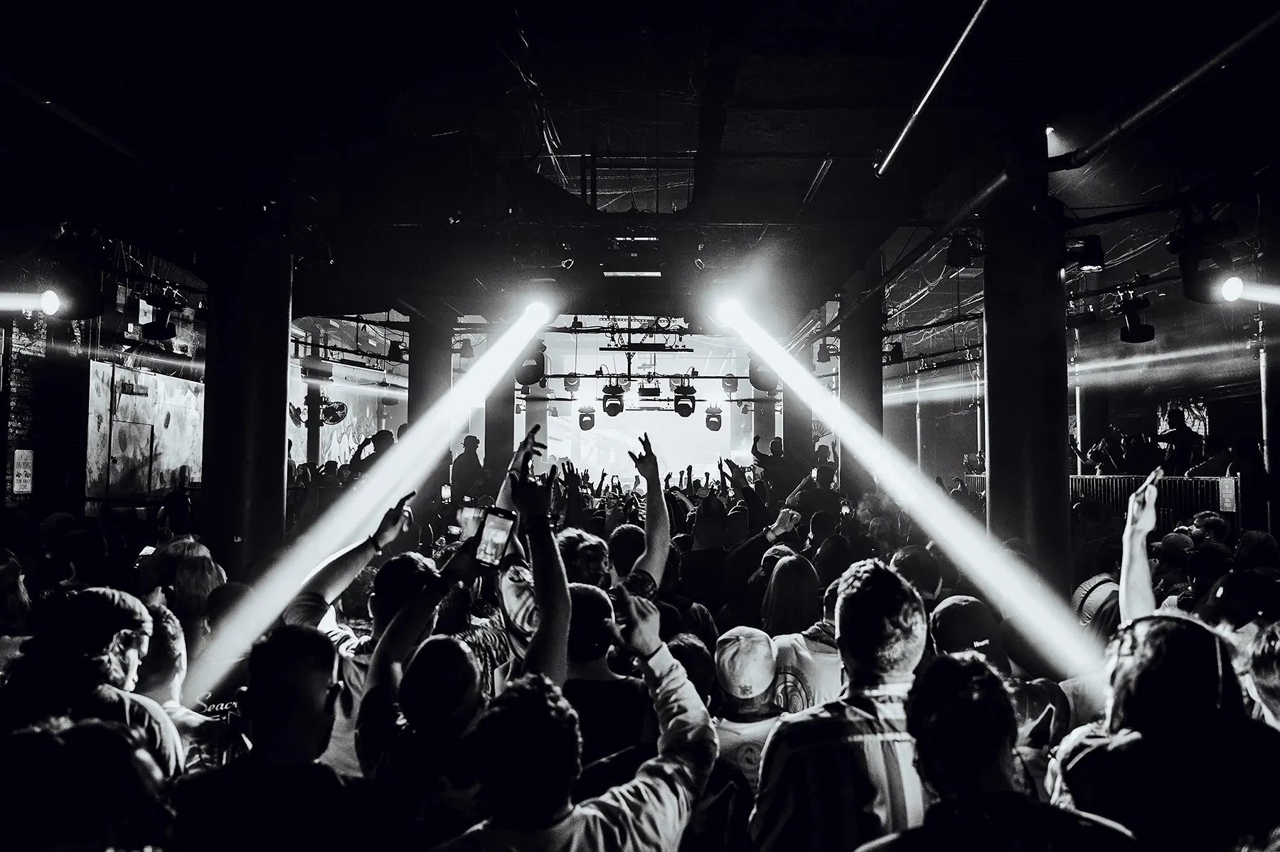 The Ave Live