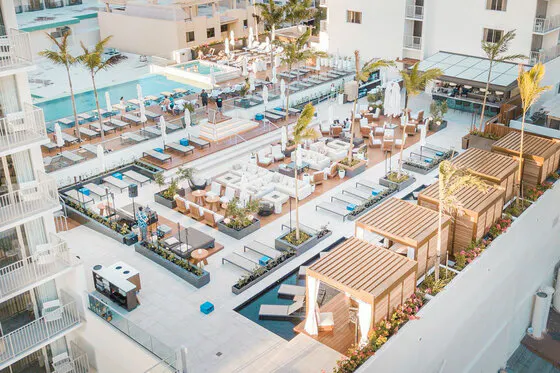 Swell Day Club, Image 2
