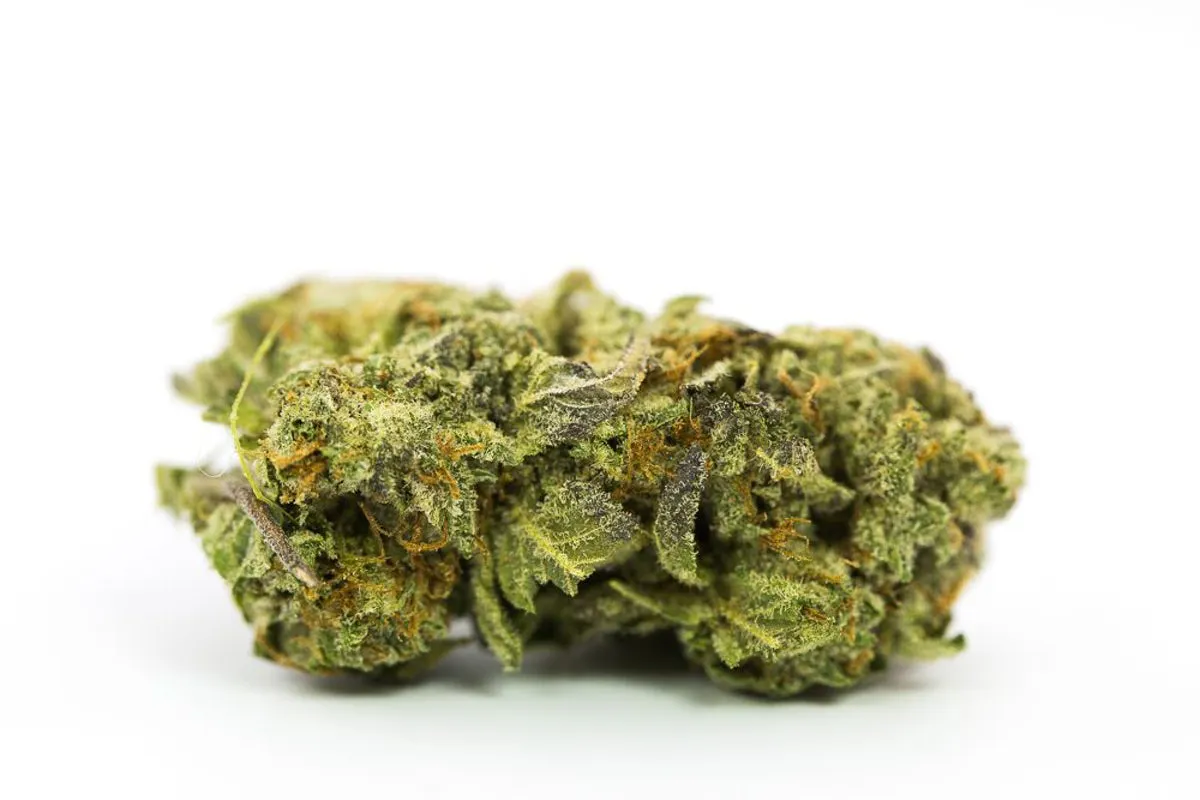 High C Flower Curaleaf Rochelle Park MED 
