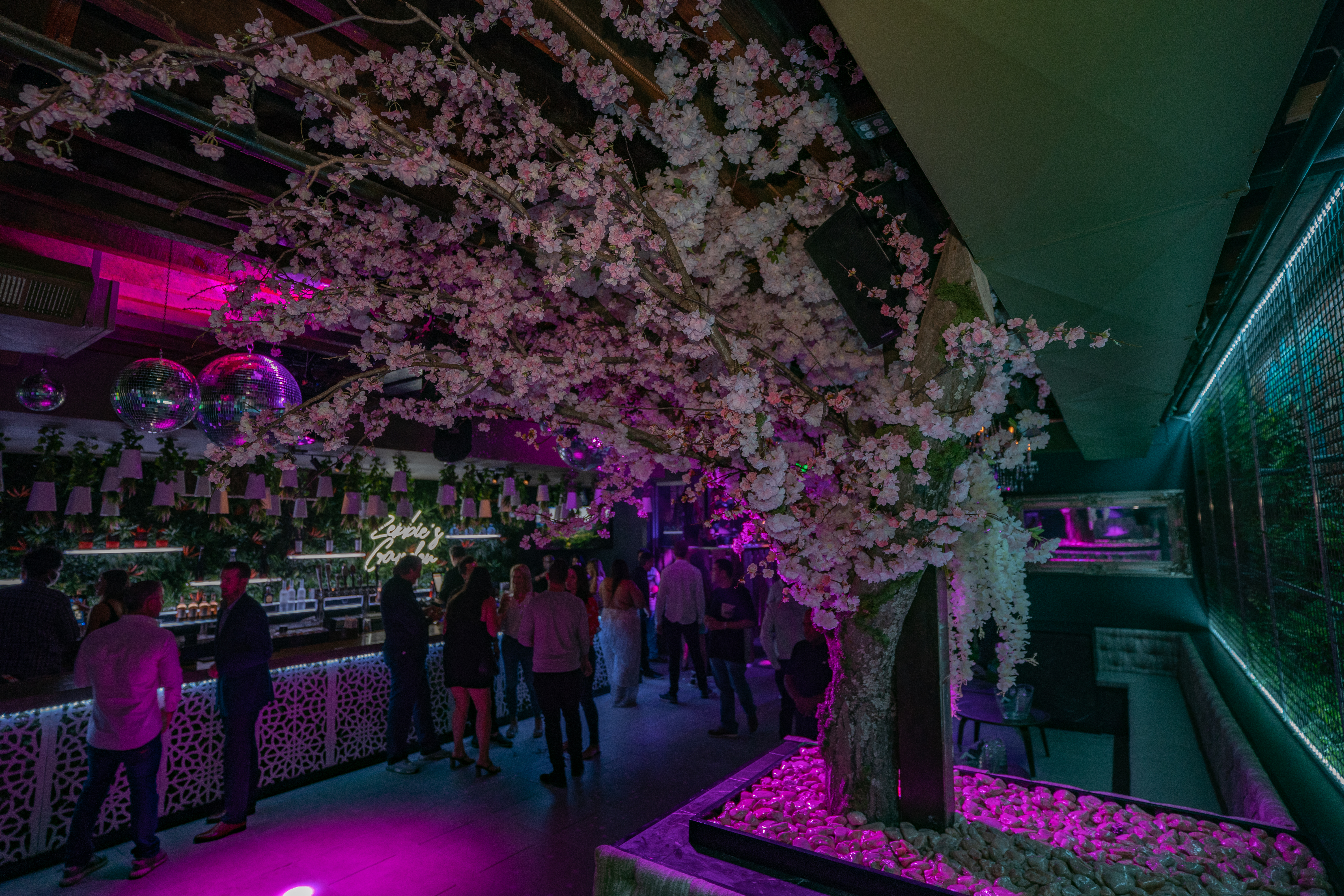 The Mayflower, Image 1