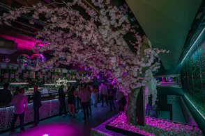 The Mayflower, Image 1