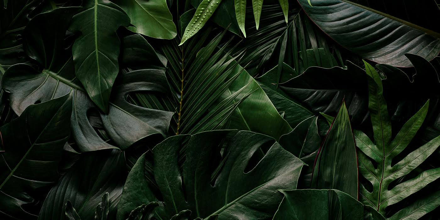 Bounce Beach Montauk Nightlife, Image 1