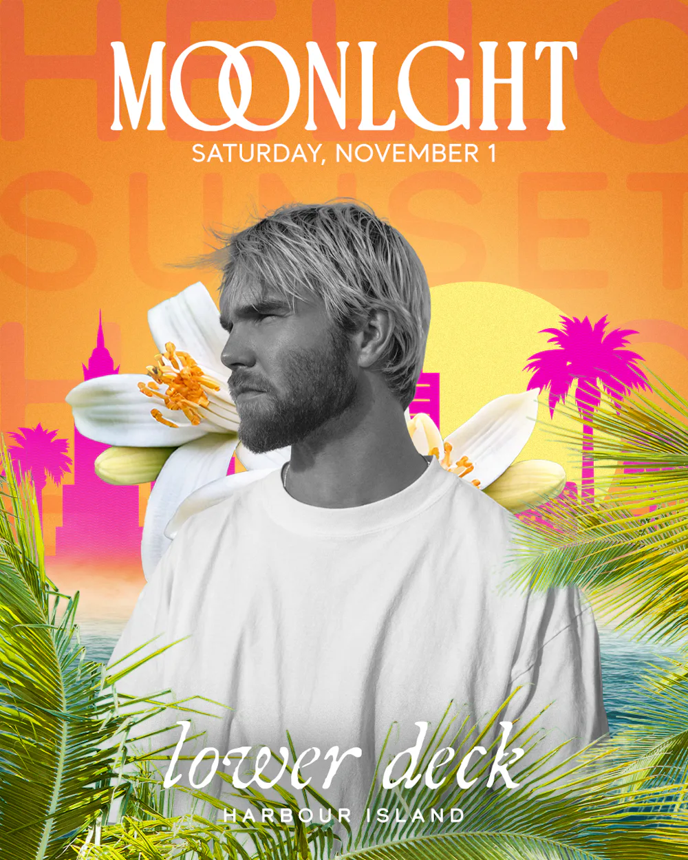 hello sunset W/ MOONLGHT