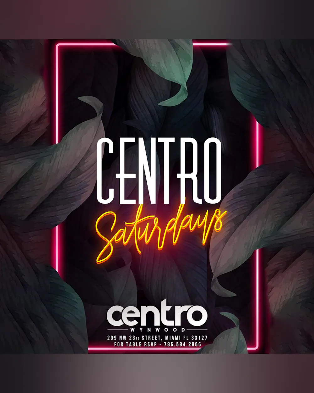 Centro Saturdays